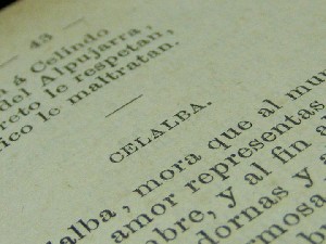 biblioteca 034 copy.jpg